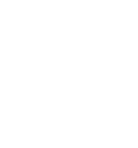 Python Programming icon